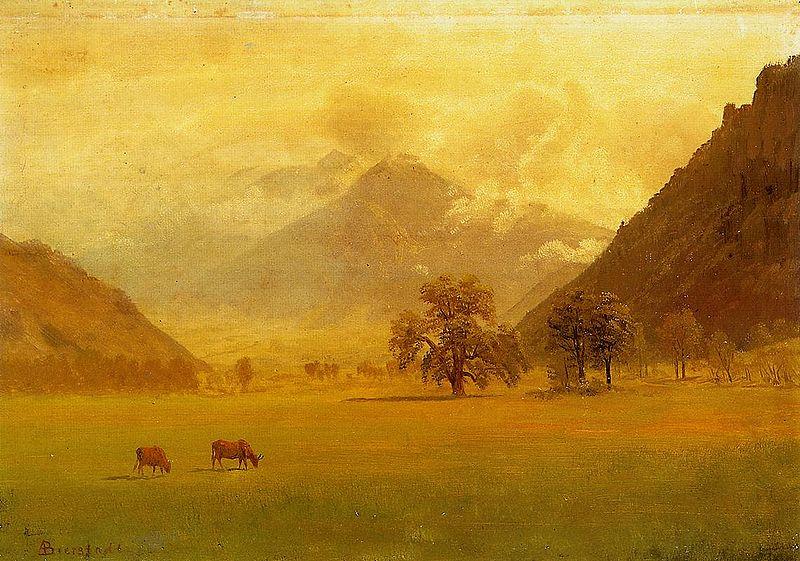 Albert Bierstadt Rhone Valley oil painting image